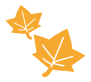 秋のおすすめ